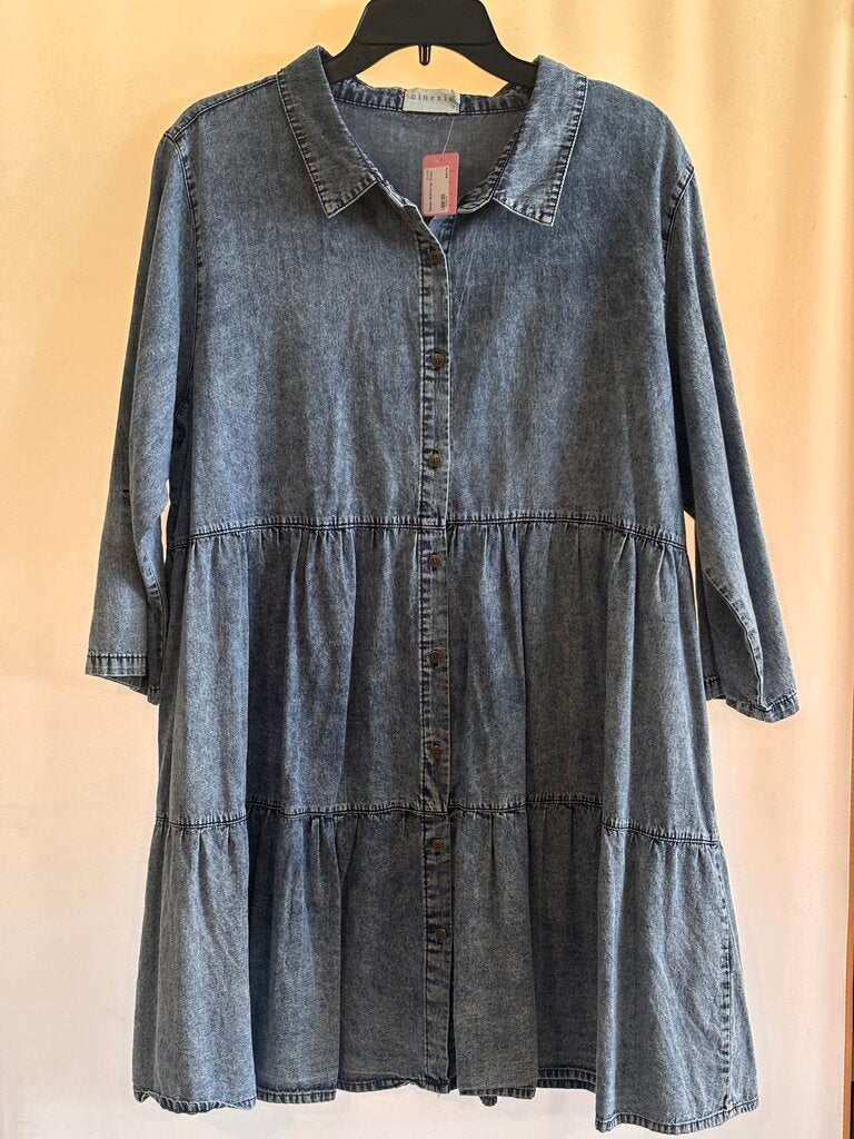 Denim Button-Up Dress